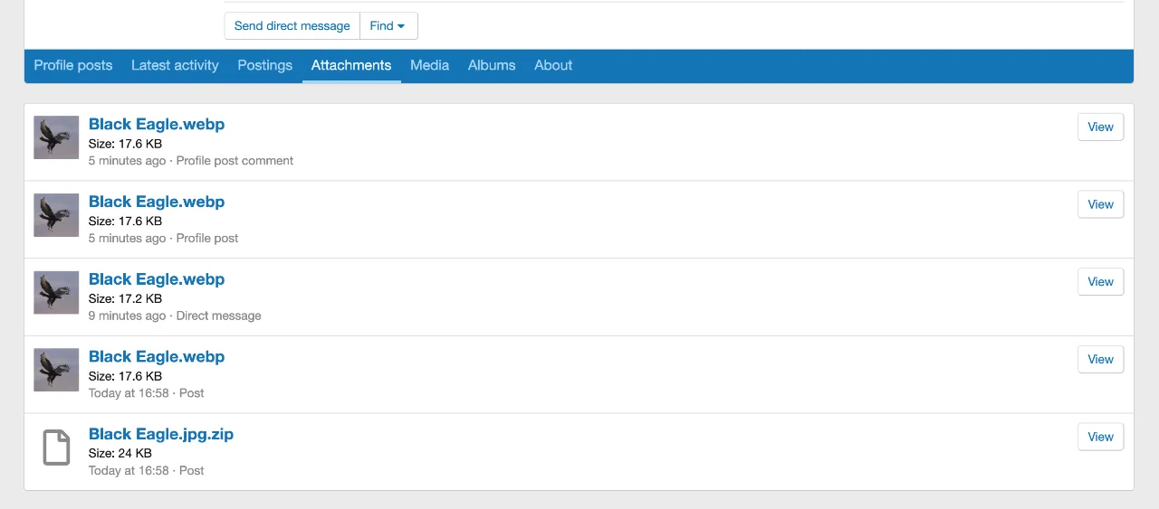 account-essentials-member-profile-attachments.webp