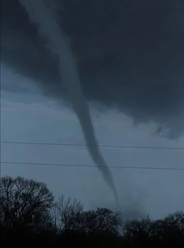 emory_TX.webp