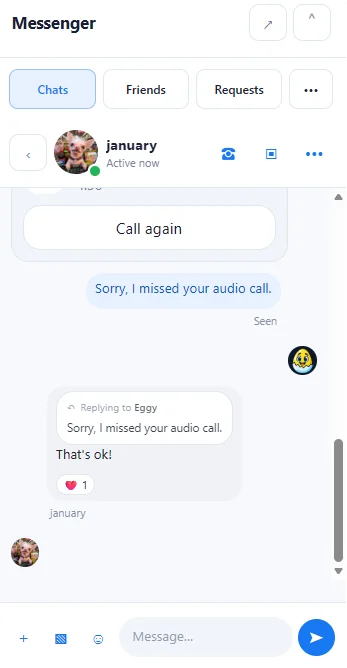 messenger117_7.webp