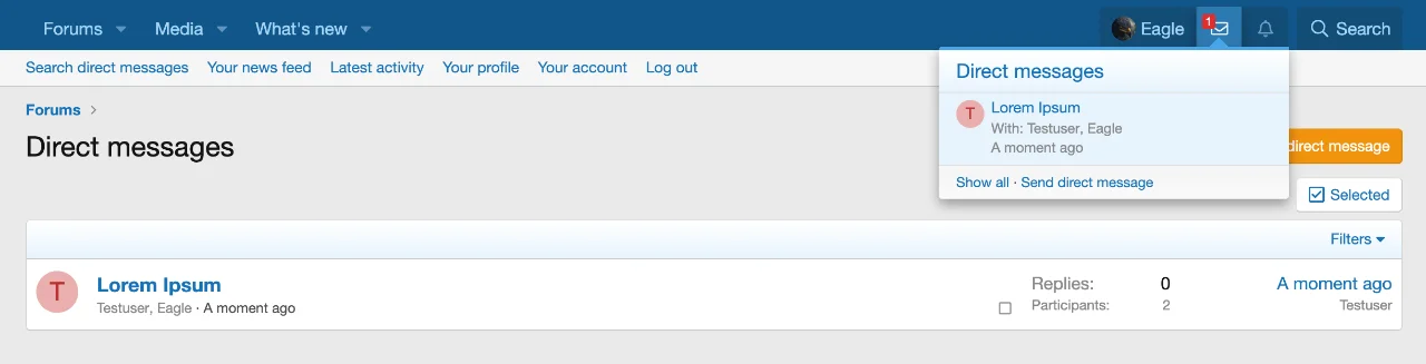 user-blocking-system-direct-messages-before-unblock.webp