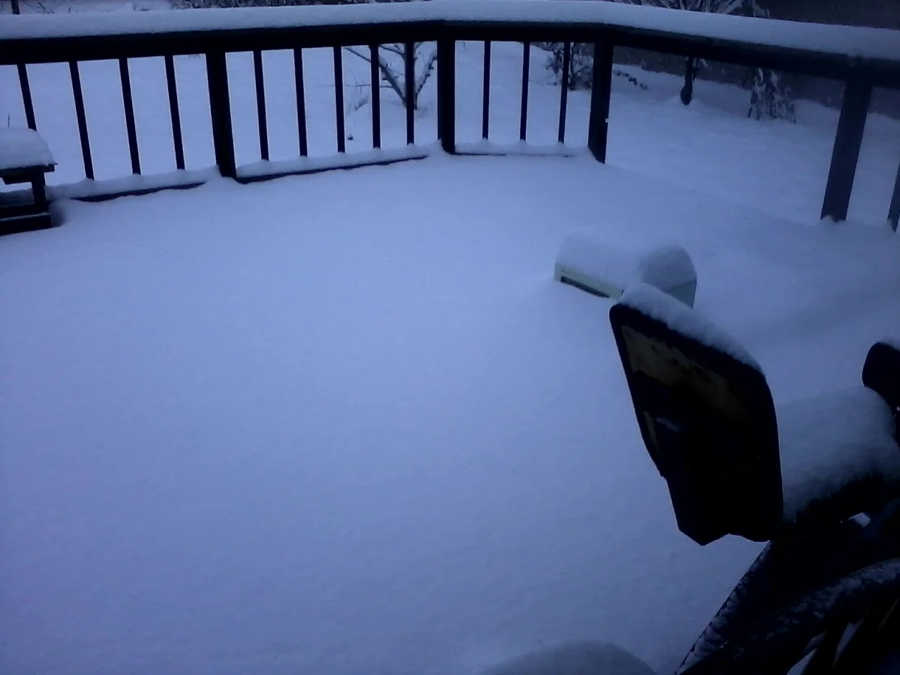 Winter 2015-2016 (12).webp