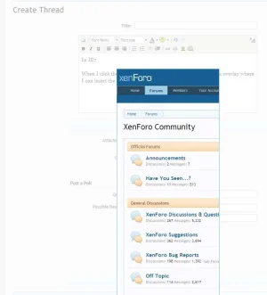 wysiwyg insert.webp