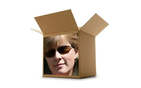 boxy.webp