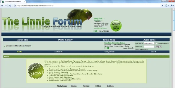 notice2.webp