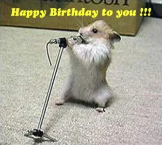 HappyBirthdaytoYou.webp