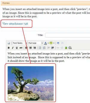temp-hash.webp