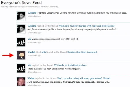 News_Feed.webp