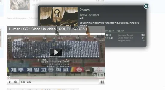 bug.webp
