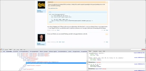 firebug.webp