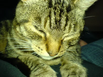 Ben Sleepy.webp