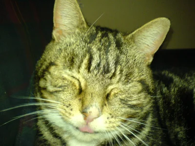 Jack doing Raspberry.webp
