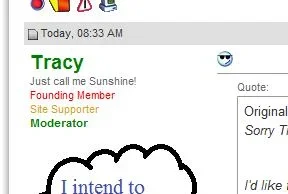tracy.webp