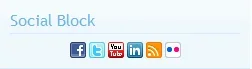 SocialBlock_Demo.webp