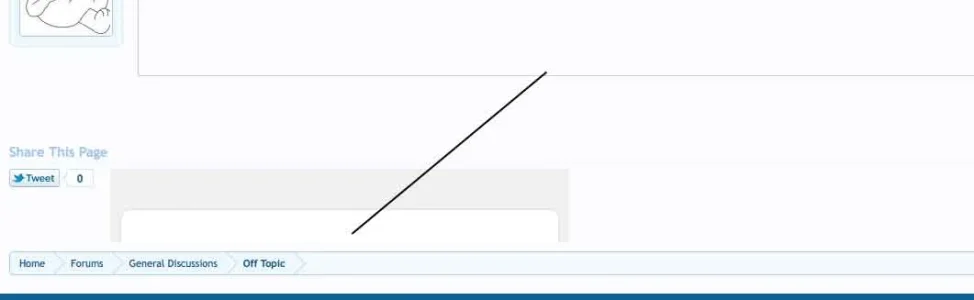 screen.webp