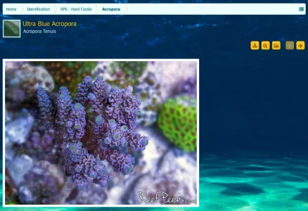 Screen Shot 2015-03-05 at 3.17.49 PM.webp