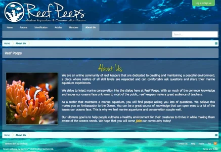 Screen Shot 2015-03-11 at 3.34.13 PM.webp