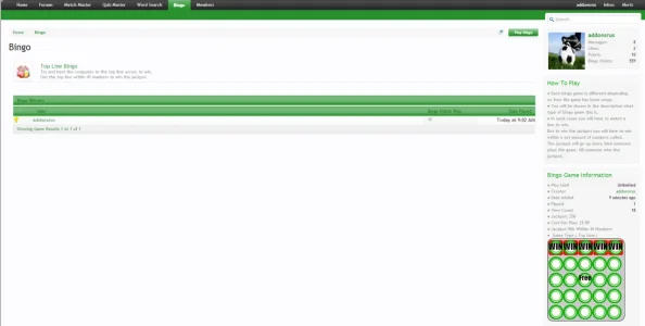 bingoviewgameinfo.webp