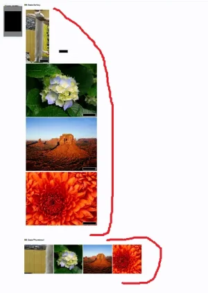 BB.webp