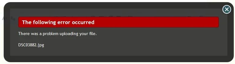 Capture.webp