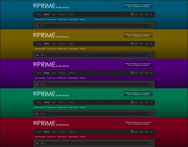 prime_header.webp
