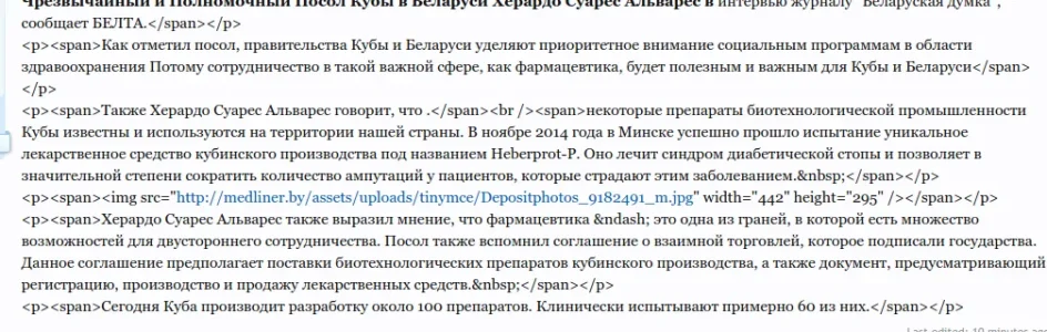 bug.webp