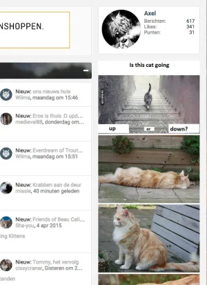 Screenshot 2015-04-11 08.52.53.webp