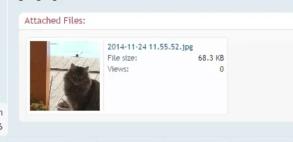 Screenshot_1.webp