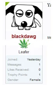blackdawg-member1.webp