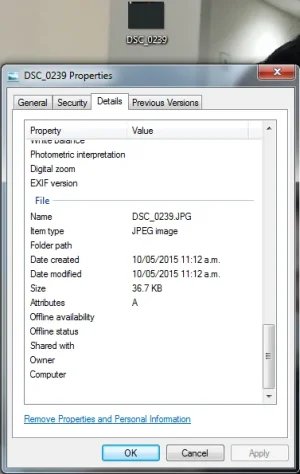 size.webp