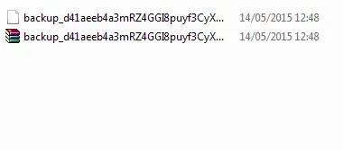 backup file.webp