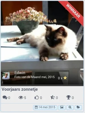 Screenshots_2015-05-14-23-08-47.webp