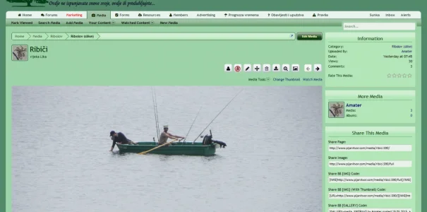 ok.webp