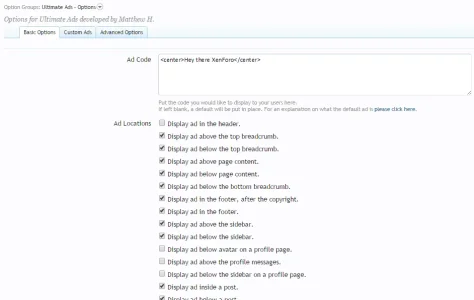 CustomAdOption.webp