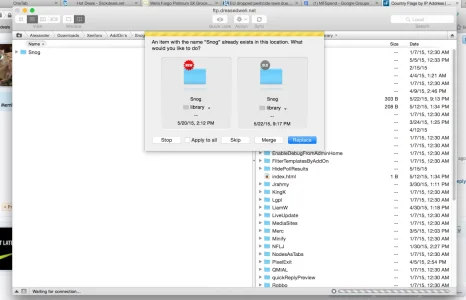 1.webp