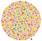 images.webp