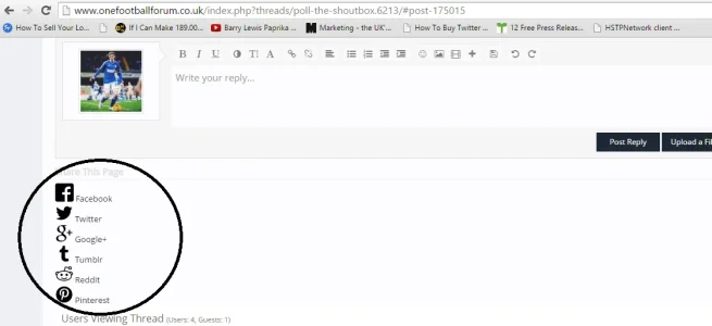 display.webp