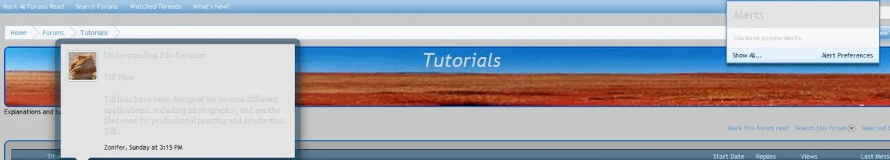 Boxes.webp