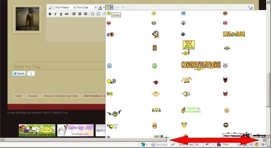 Capture_02172011_111539.webp