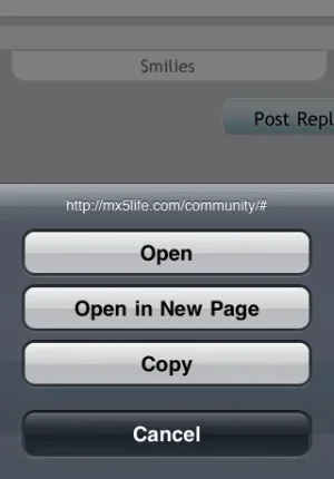 3gs_tray.webp
