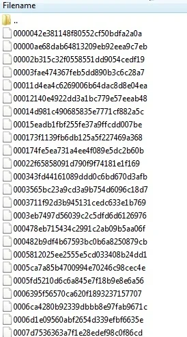 00.webp