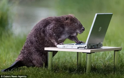 upload_2015-7-2_18-46-51.webp