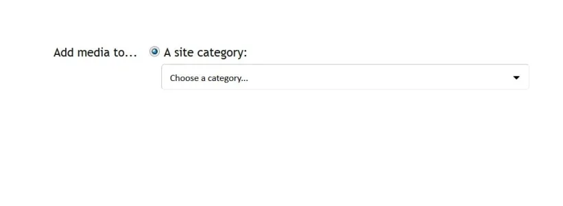 media suggestion.webp