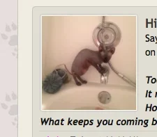 Screen Shot 2015-07-11 at 2.44.45 PM.webp