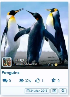 Forum Showcase - XenForo Community 2015-07-15 13-01-32.webp