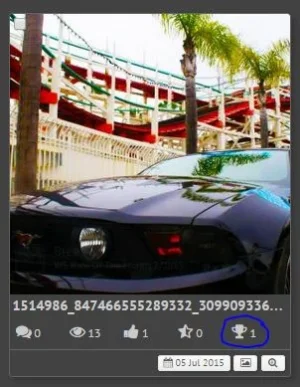 5.webp