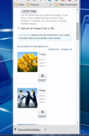 1.webp