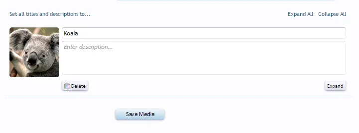 1.webp