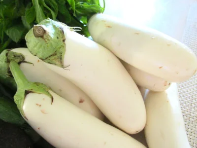 white aubergines 1.webp