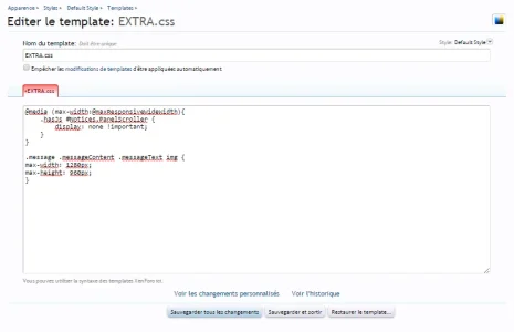 extracss.webp