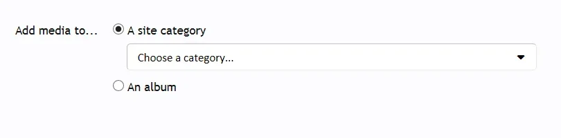 addmediato.webp